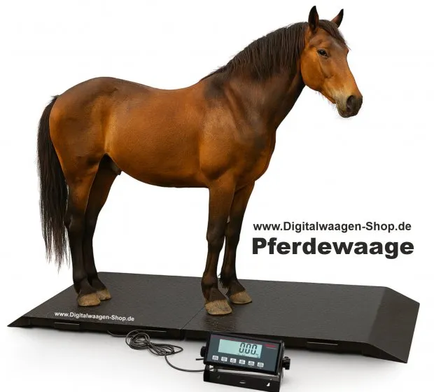 Soehnle Professional Pferdewaage - Großtierwaage - Rinderwaage
