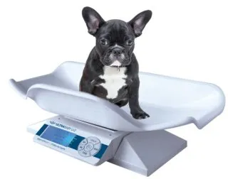 Elektronische Tierwaage