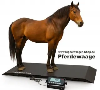 Soehnle Professional Pferdewaage- Großtierwaage max.1500kg