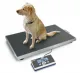 Mobile Tierwaage 300kg mit 0,1kg Teilung