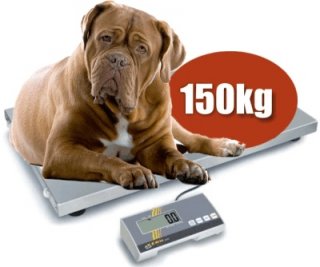 XL Tierwaage wahlweise mit Gummimatte 150 kg