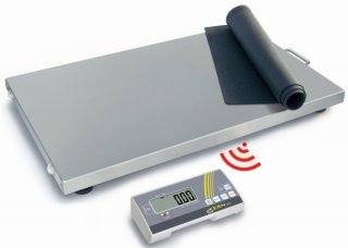 Balance de précision PNJ 3000-2M - KERN & SOHN: Waagen, Mikroskope &  Messinstrumente