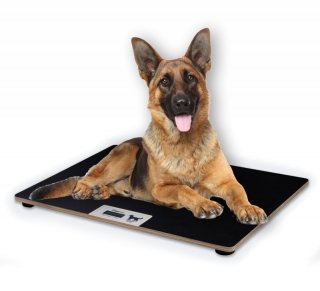 XL Tierwaage - Veterinärwaage für grosse Hunde