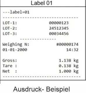 Beispiel Ausdruck - Wiegehubwagen